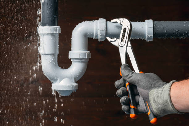 Professional Plumbing technician working in Hingham, WI
